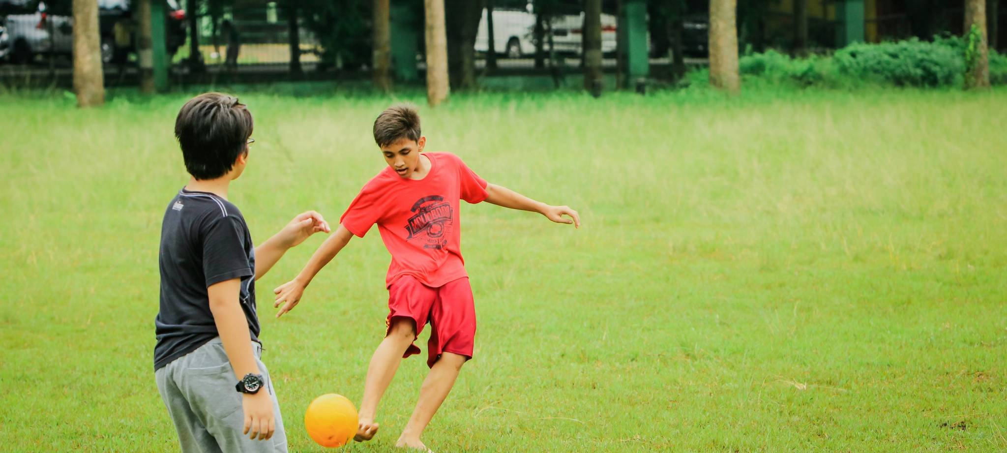 关于爱游戏体育介绍